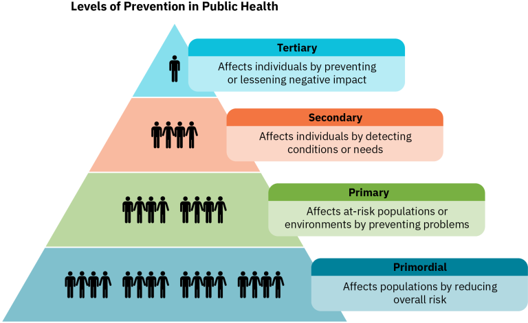 A pyramid diagram illustrating the levels of prevention in public health: Primordial, Primary, Secondary, and Tertiary, with descriptions for each level and corresponding icon representations of populations.