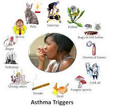 CH_asthma_info_0416